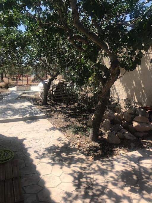 Πέτρινη Κατοικία Στην Αίγινα - Stone House In Aigina Khloi Dış mekan fotoğraf